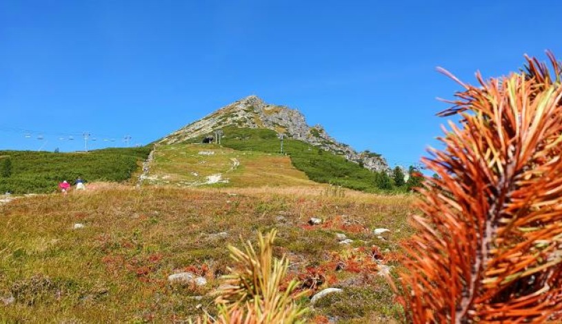 Hotel CROCUS **** Vysoké Tatry